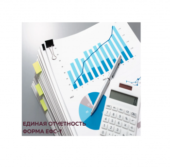 Новая форма ЕФС-1 срок сдачи в 2023 году и порядок заполнения.